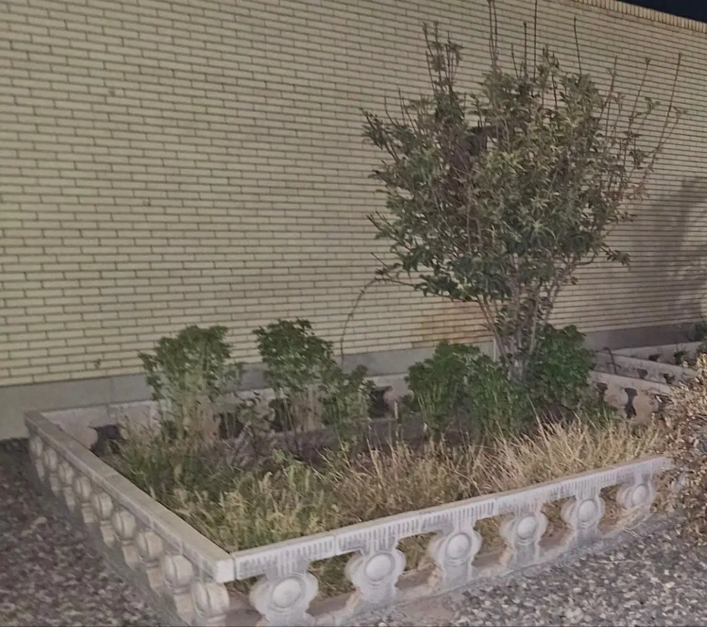 منزل اجاره ای خیابان شیخ بهایی