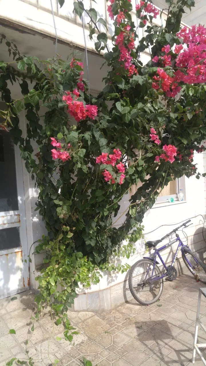 ویلایی ۴۰۰ متر دربست مناسب مدرسه آموزشگاه