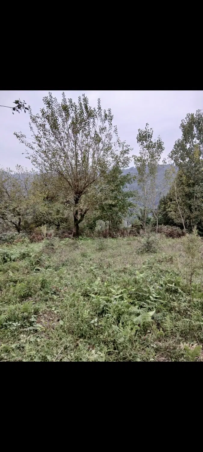 فروش زمین مسکونی