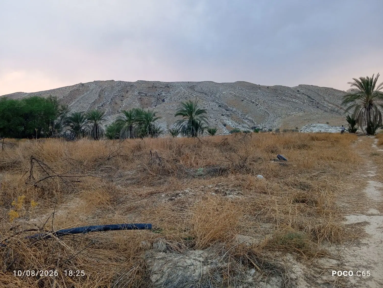 اجاره زمین کشاورزی