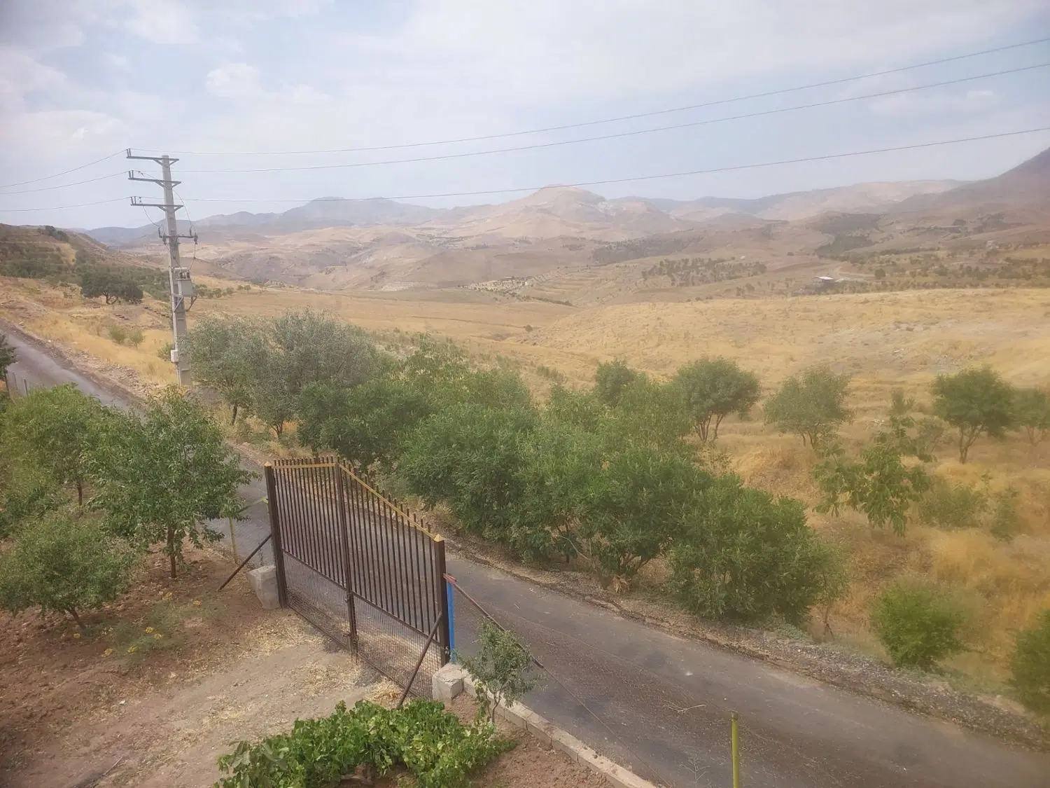 باغ در جاده نیاق