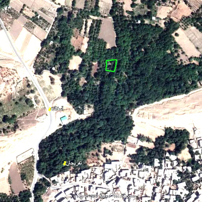 باغ میوه تفریجان