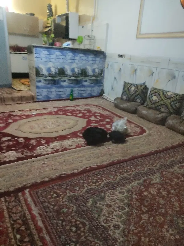 خانه اجاره ای