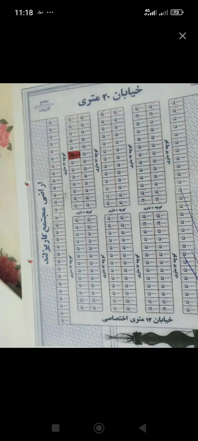 زمین جنب کاریزلند