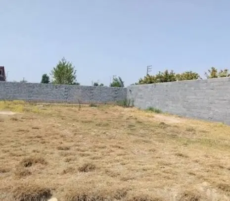 زمین باغچه برقدار