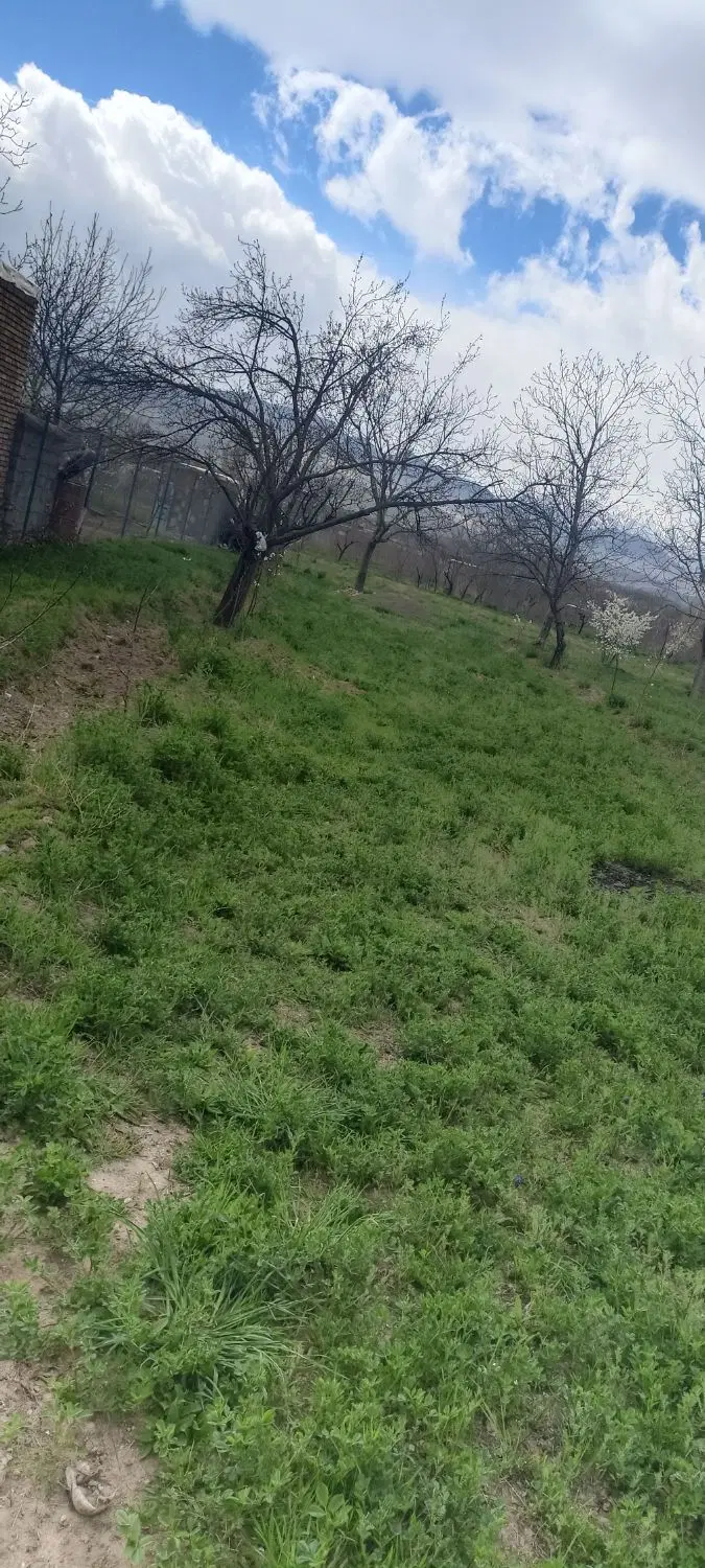 باغ به متراژ 1200متر بایک ساعت آب لوله کشی شده