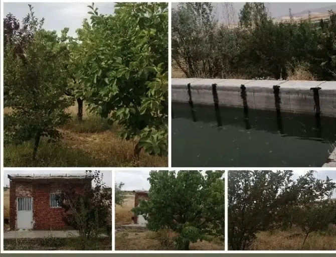 فروش باغ