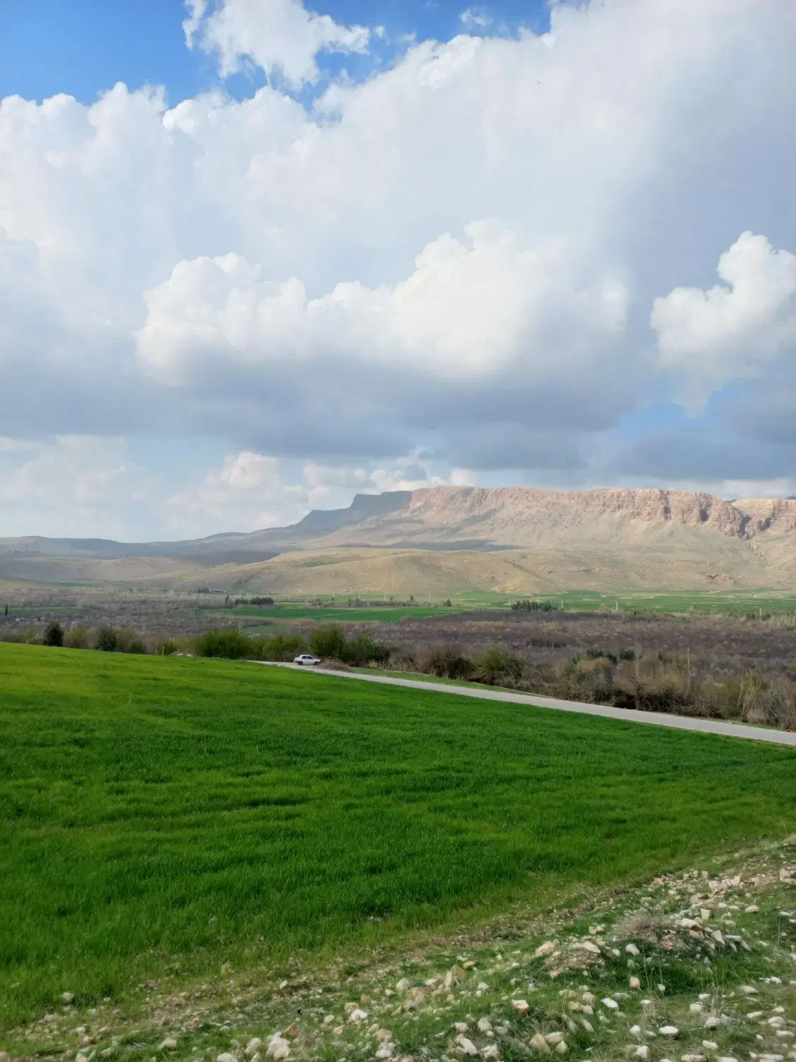 زمین کشاورزی