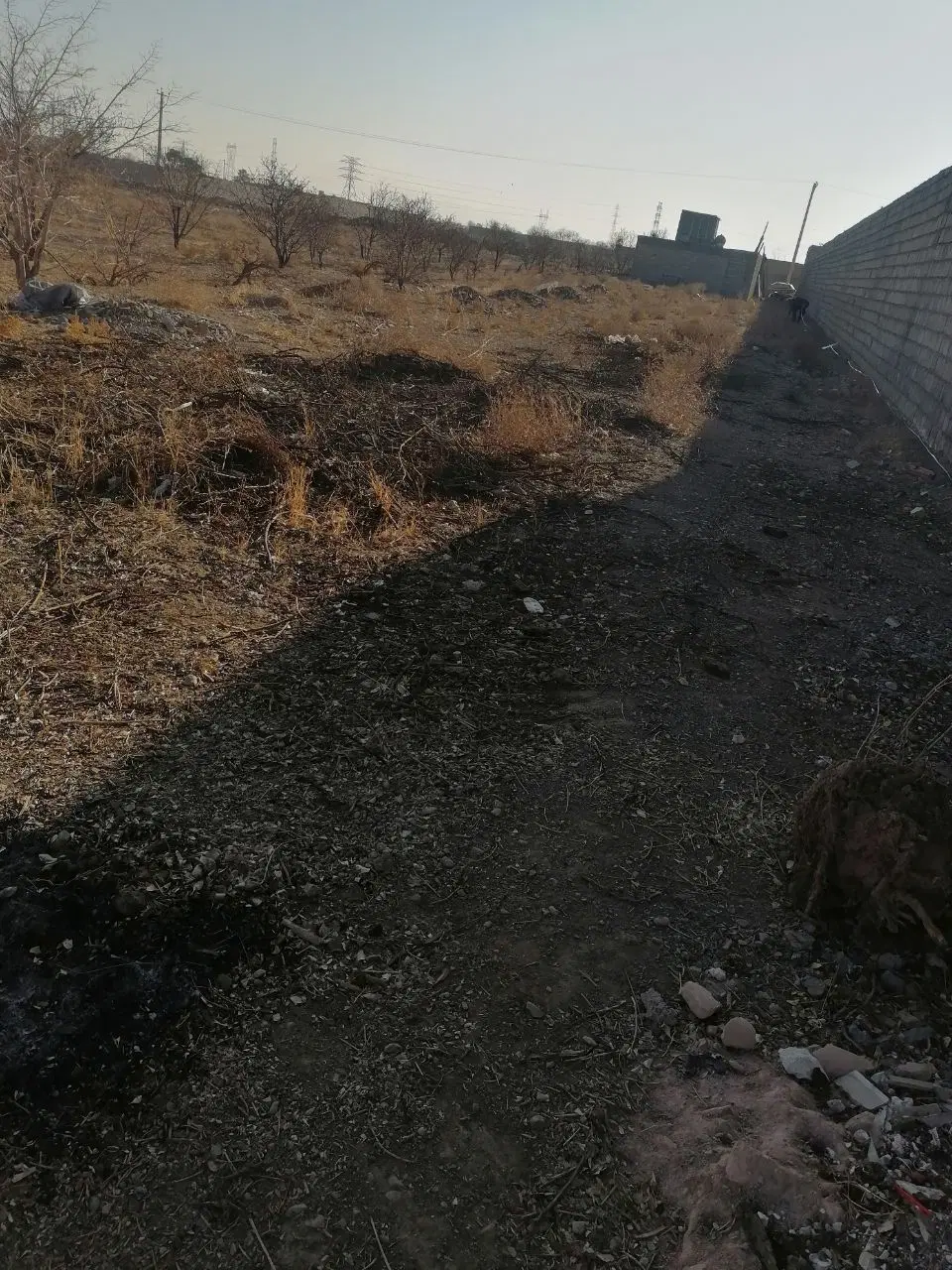 زمین ساده
