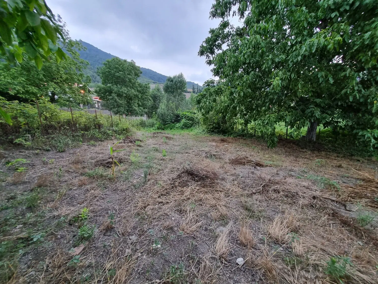 ۴۰۰مترمربع زمین مسکونی روستای ولیجار خاصکول