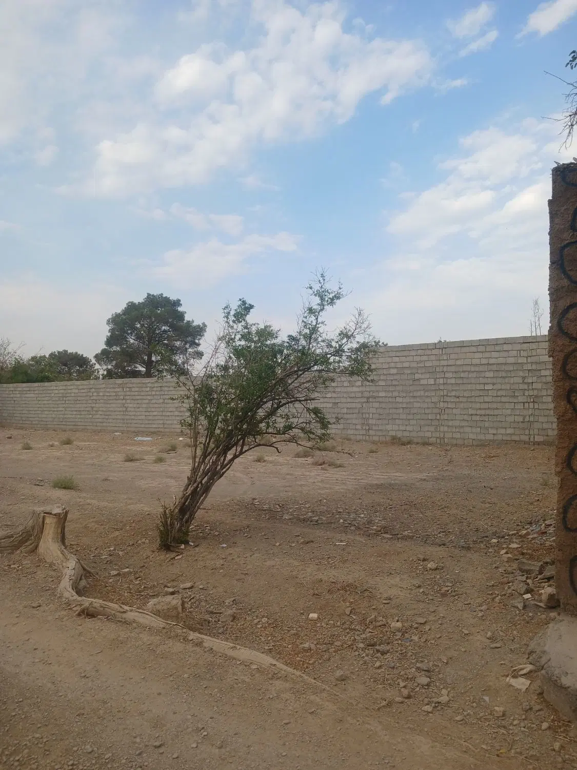 فروش زمین