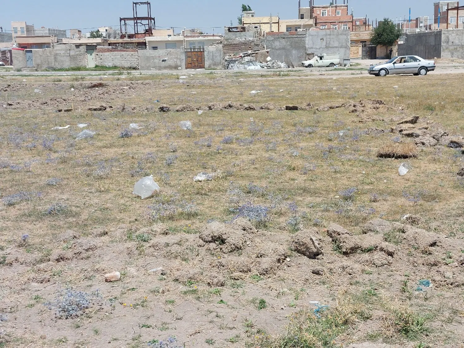 زمین دربهشت زهرا