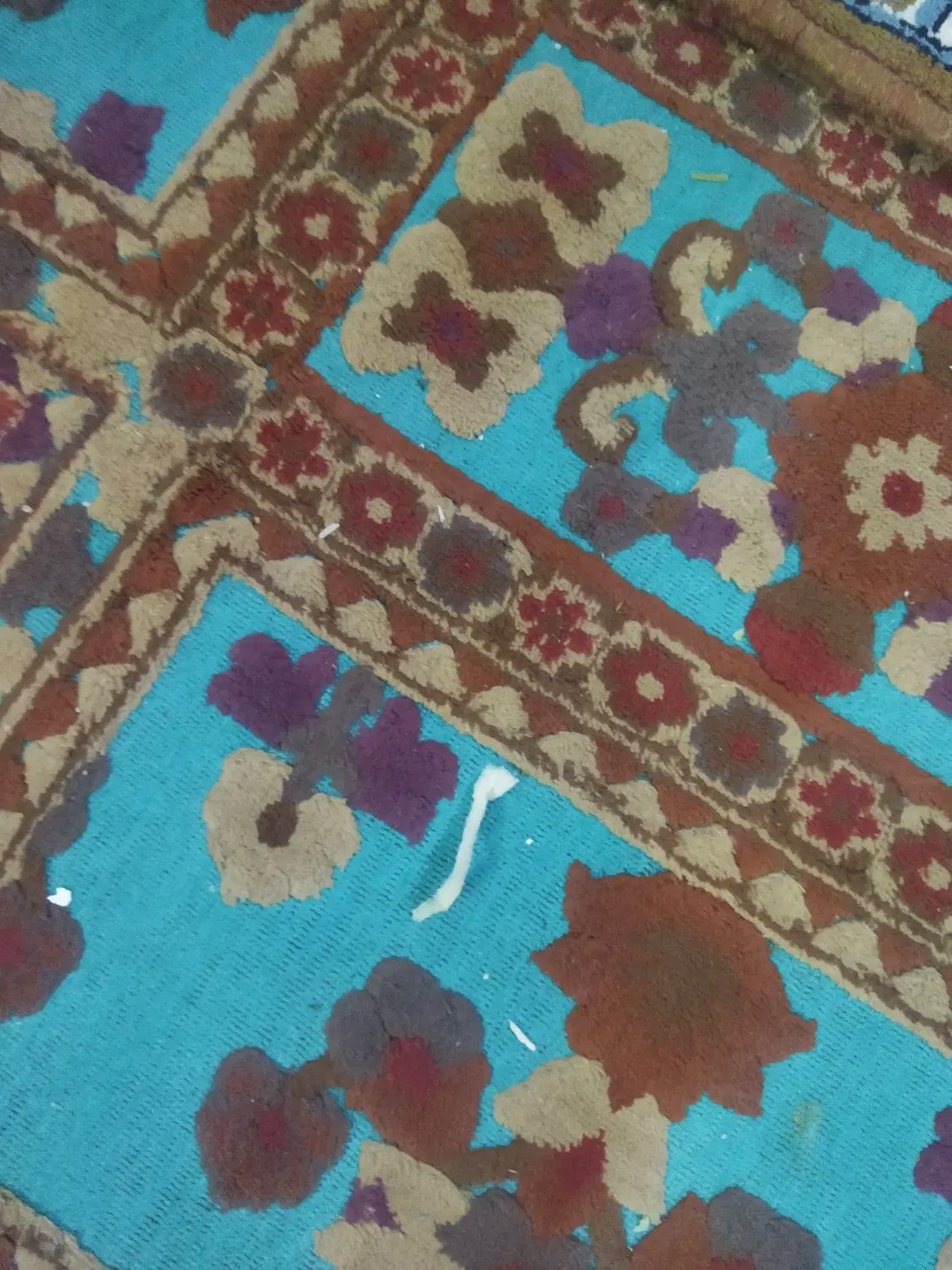 اجاره خانه دربست