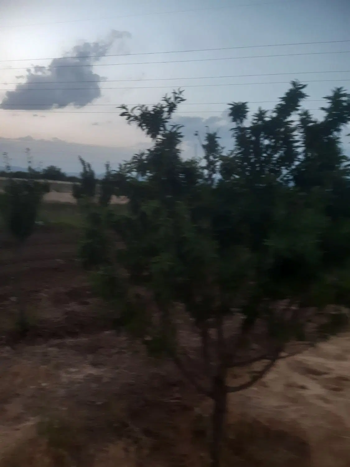 باغ ۱۱۰۰ متری سنددار