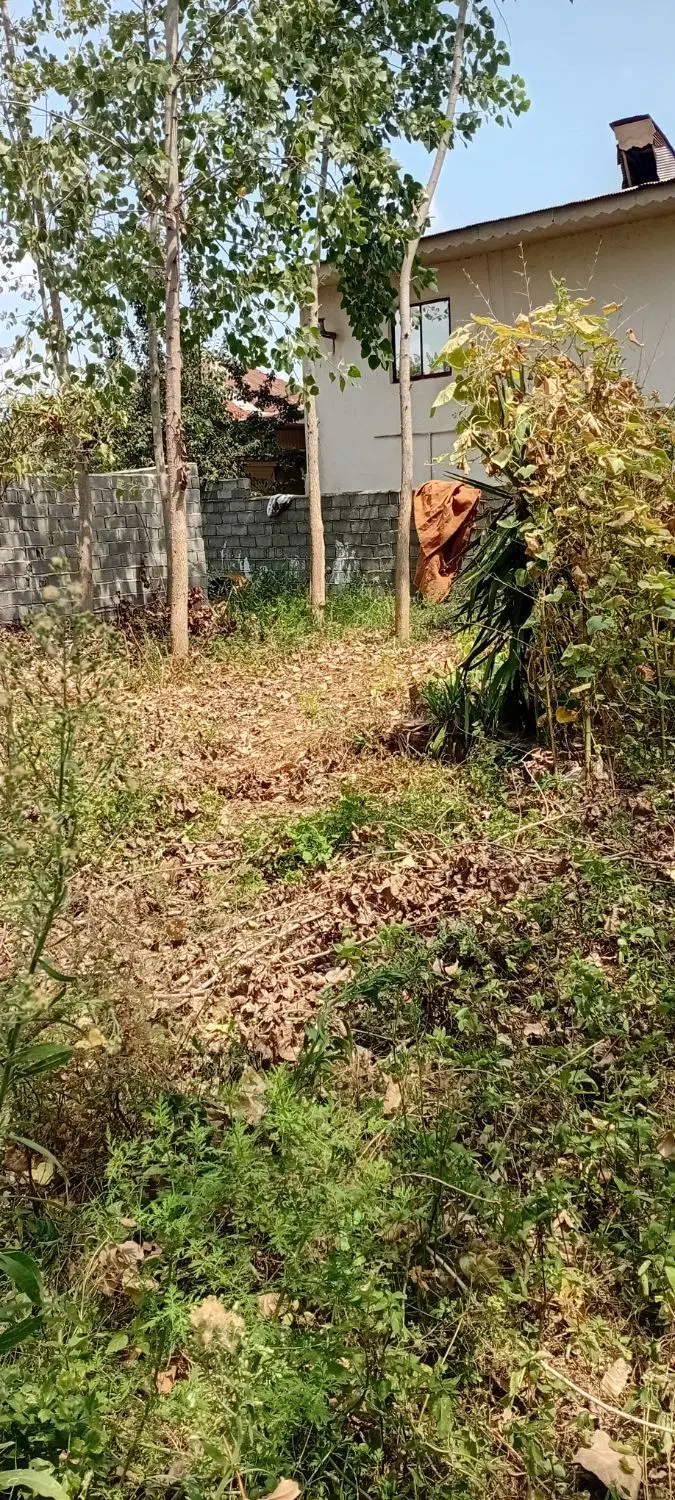 زمین مسکونی