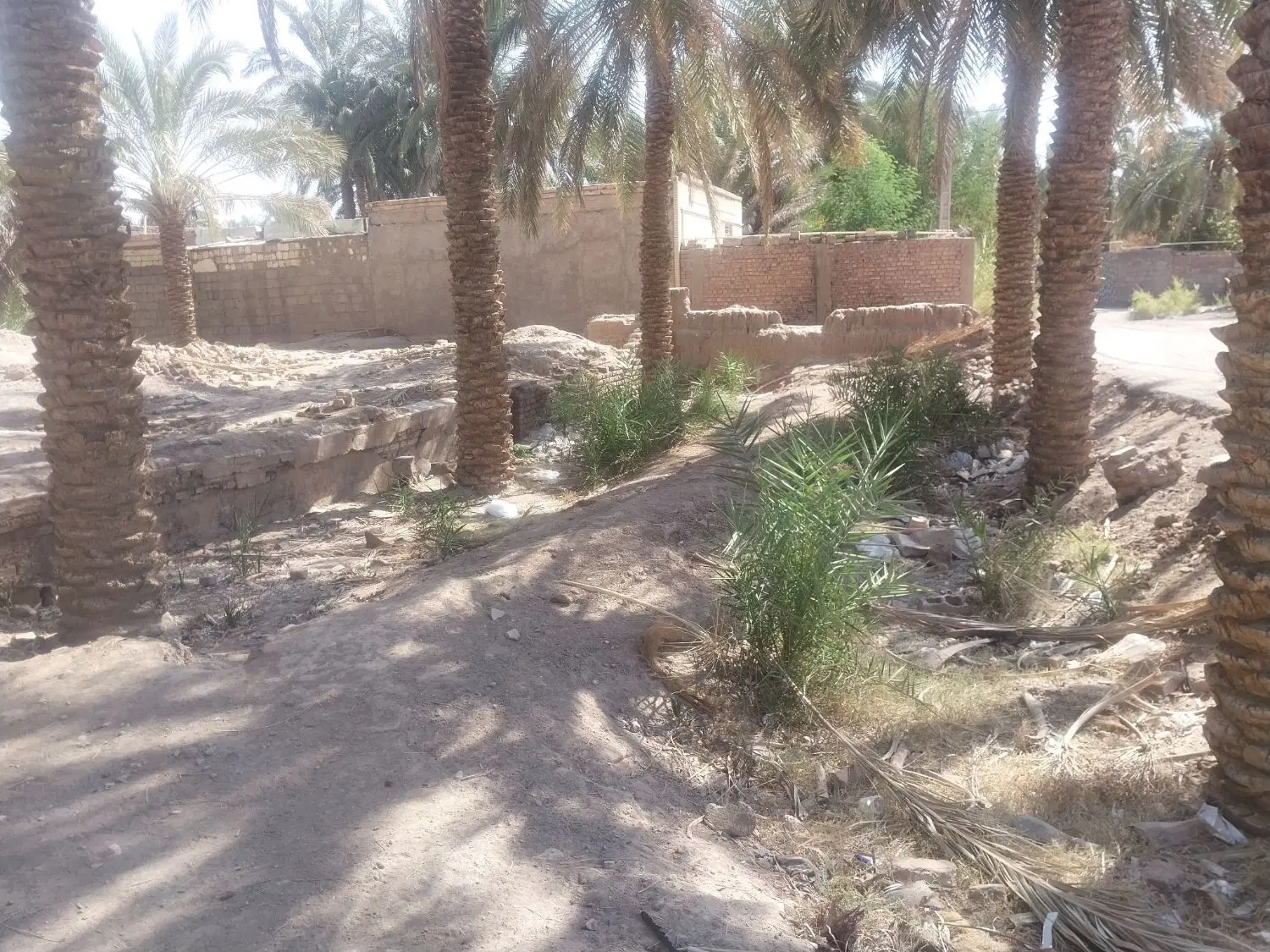 فروش391 متر زمین مسکونی ولیعصر 27