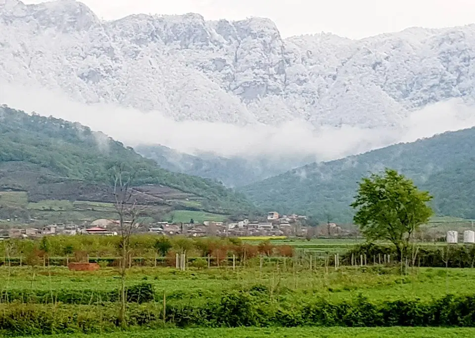 زمین شموشک