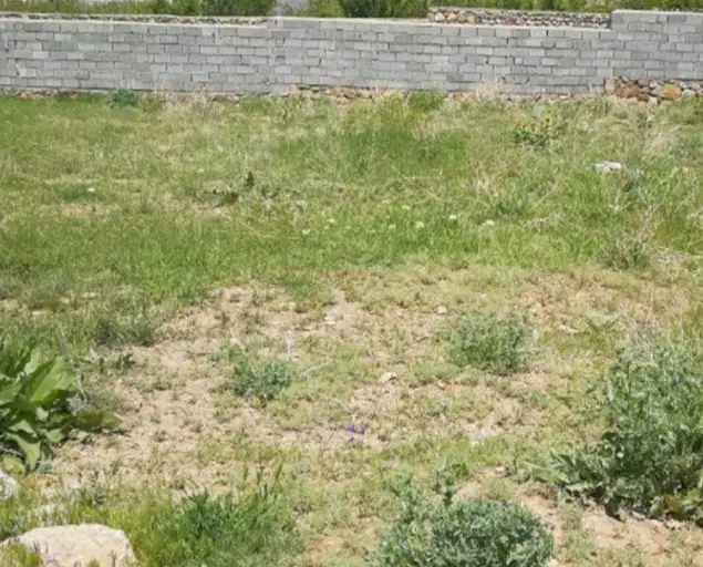 زمین