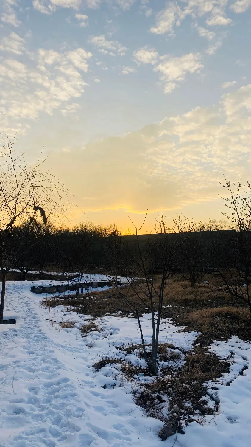 زمین ویلایی