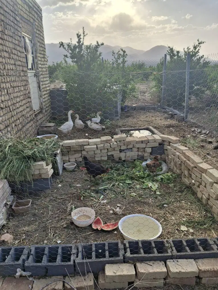 باغ