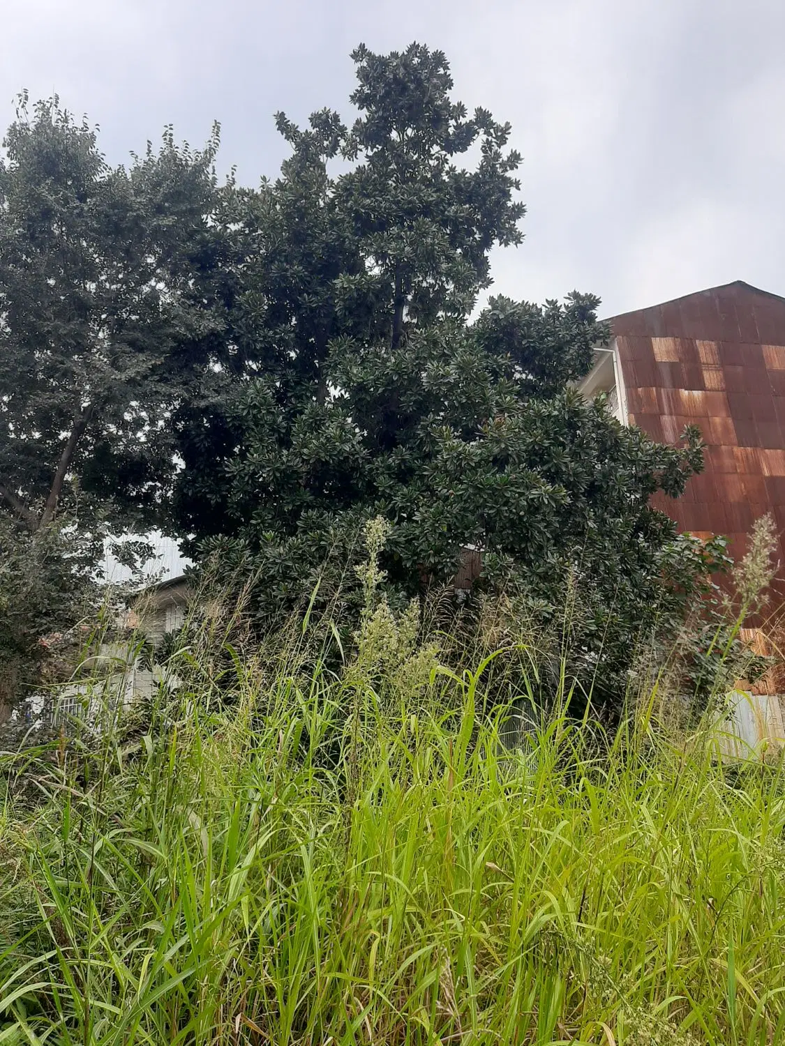 زمین داخل شهر