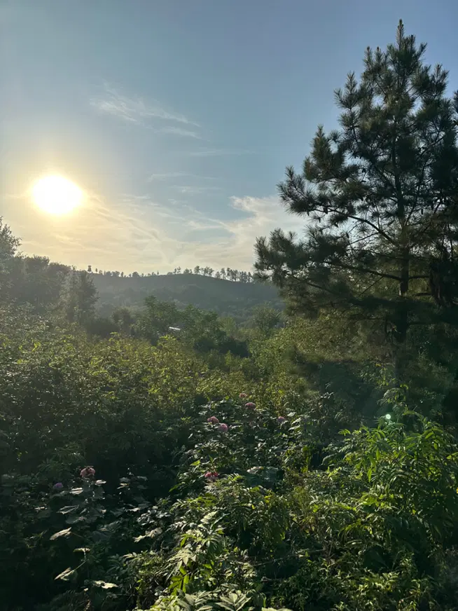 ۳۶۰ متر، سند سبز، کاملا مسکونی، کوهستانی و جذاب