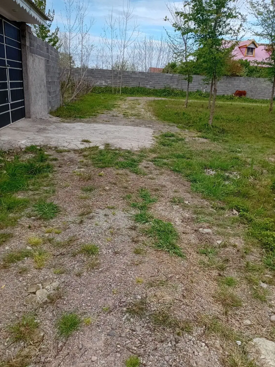 سنددار مسکونی،اقساط،معاوضه،قابل ساخت