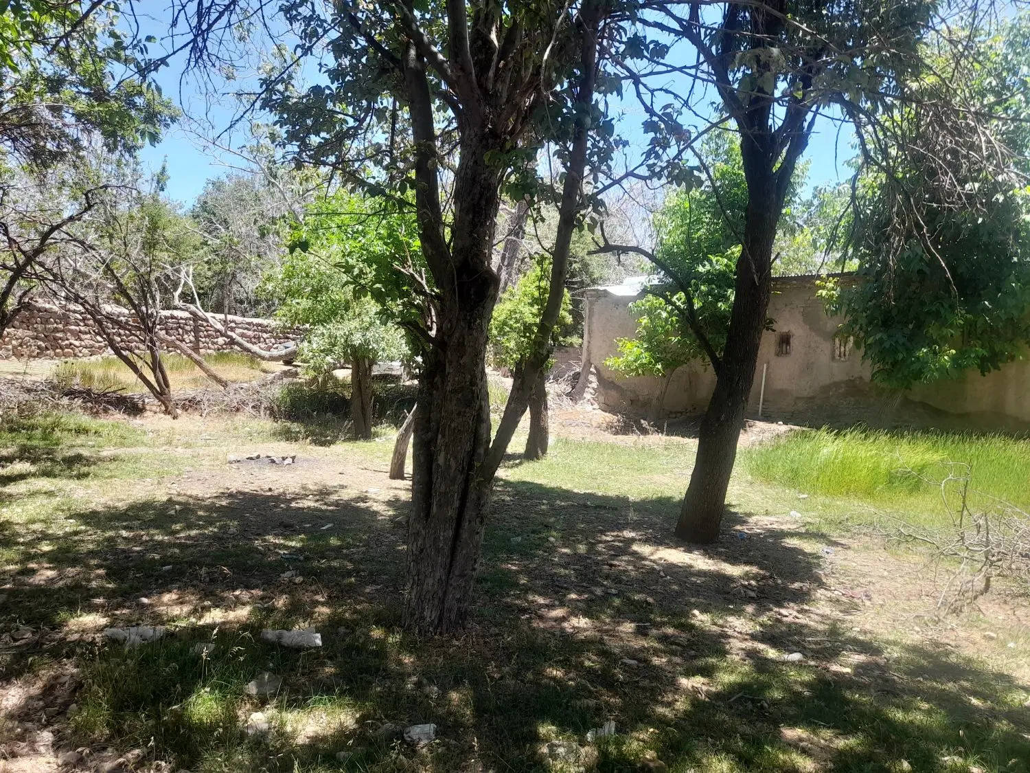 گوغر خانه باغ