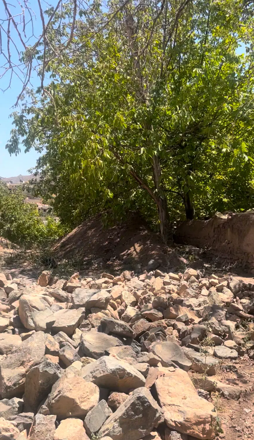 فروش زمین  در باغات قمصر