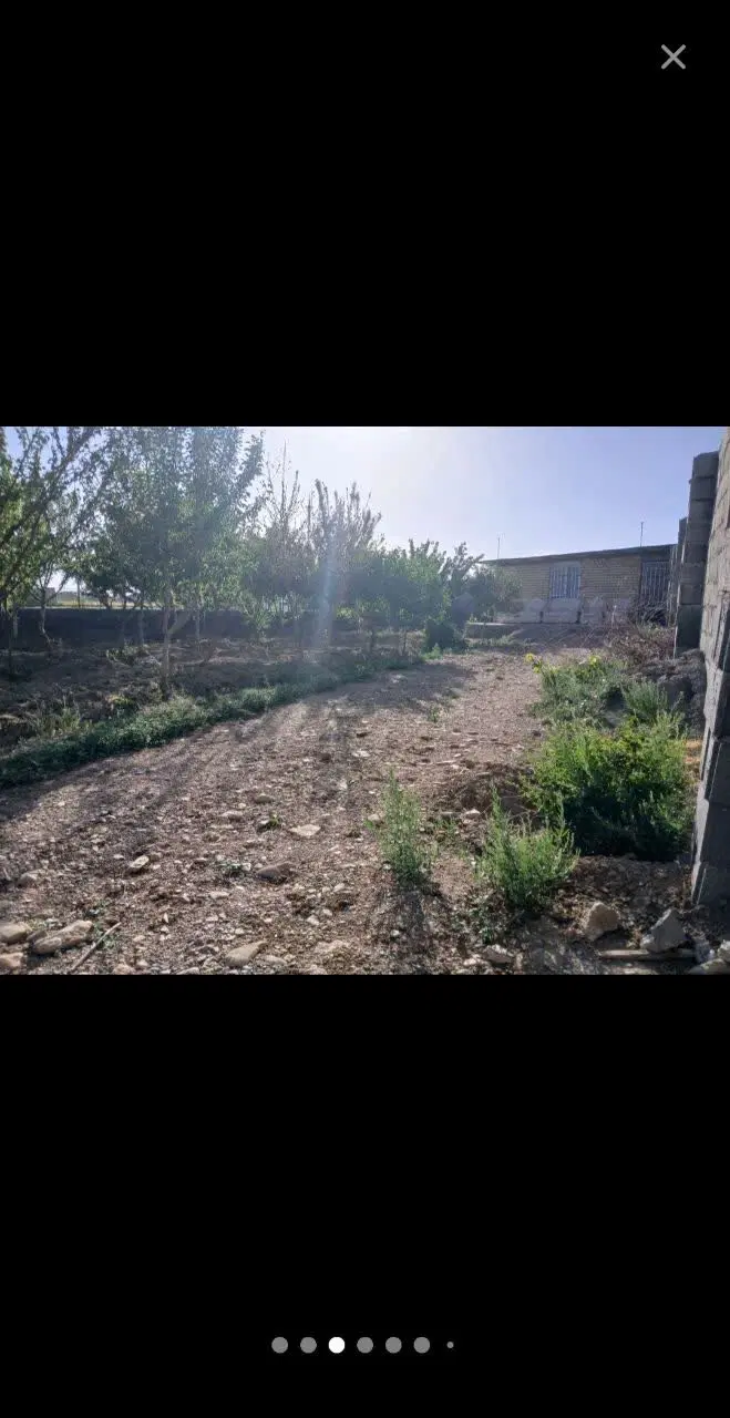 باغ فروشی