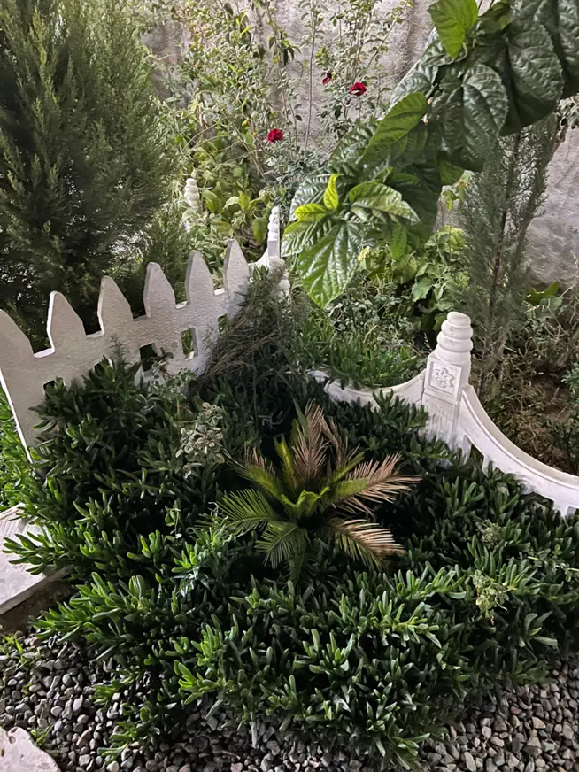 باغچه گلزار