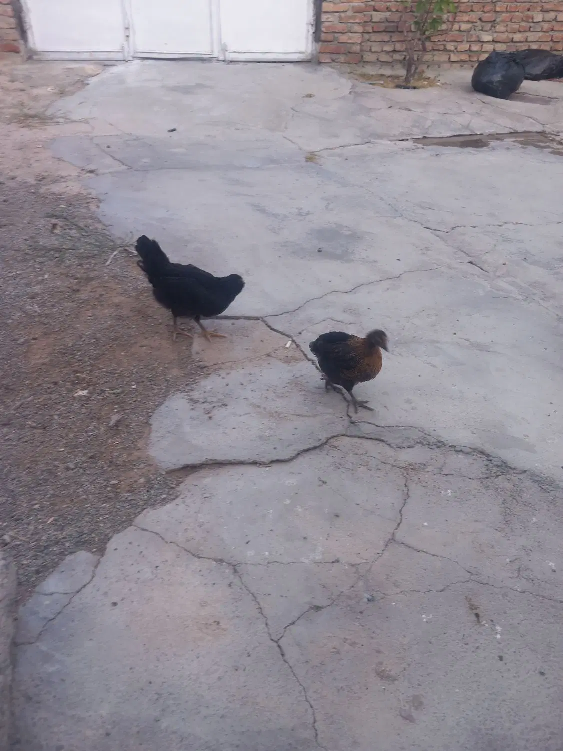 خانه به متراژ ۲۰۰