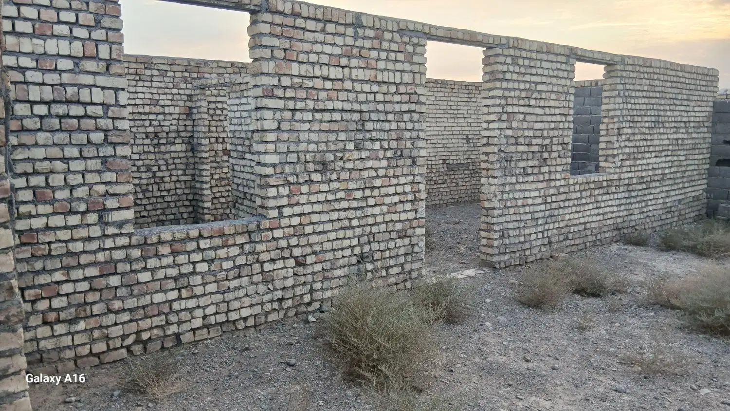 خانه باغ