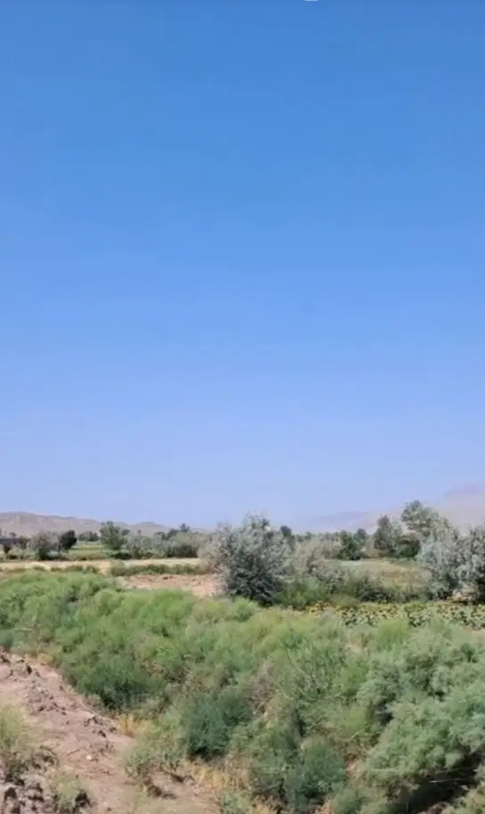 زمین