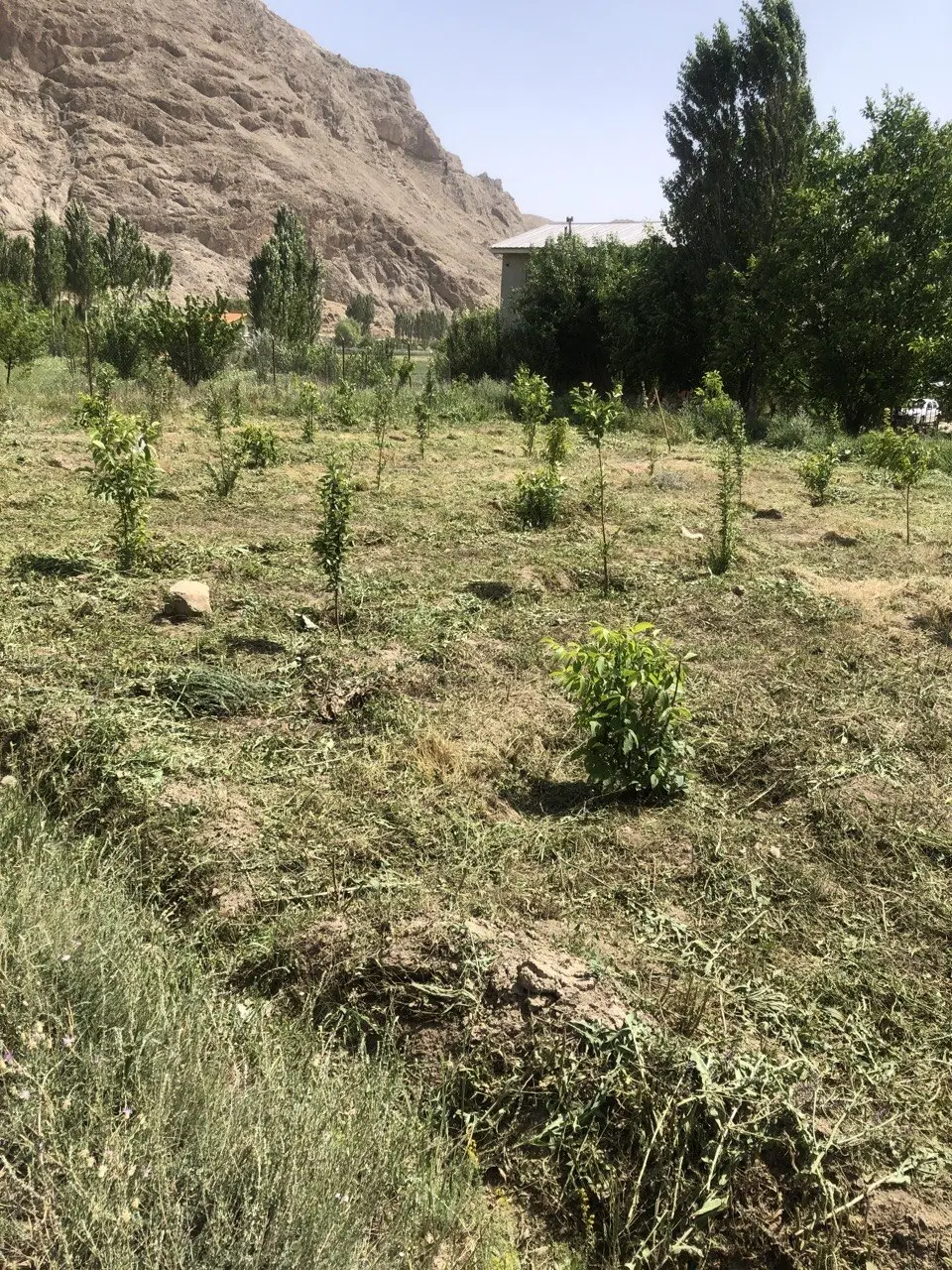 باغ در بهترین منطقه فیروزکوه آبتره جار