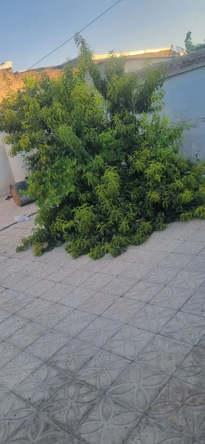 خونه فاز۵ طبقه بالا شیک و درجه یک