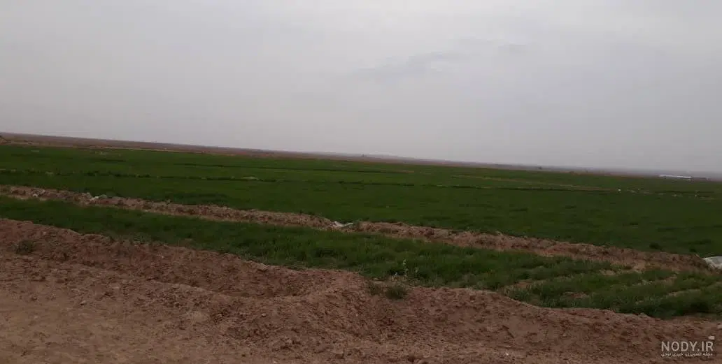 زمین فروشی. فوشنجان