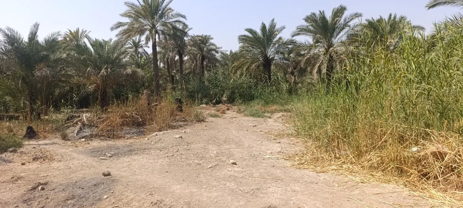 زمین معمره صنگور هلال 4