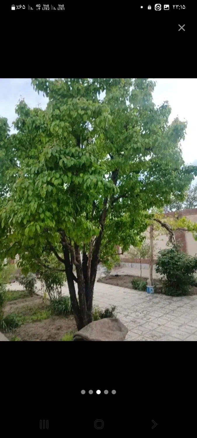 خانه ویلایی گلبهار