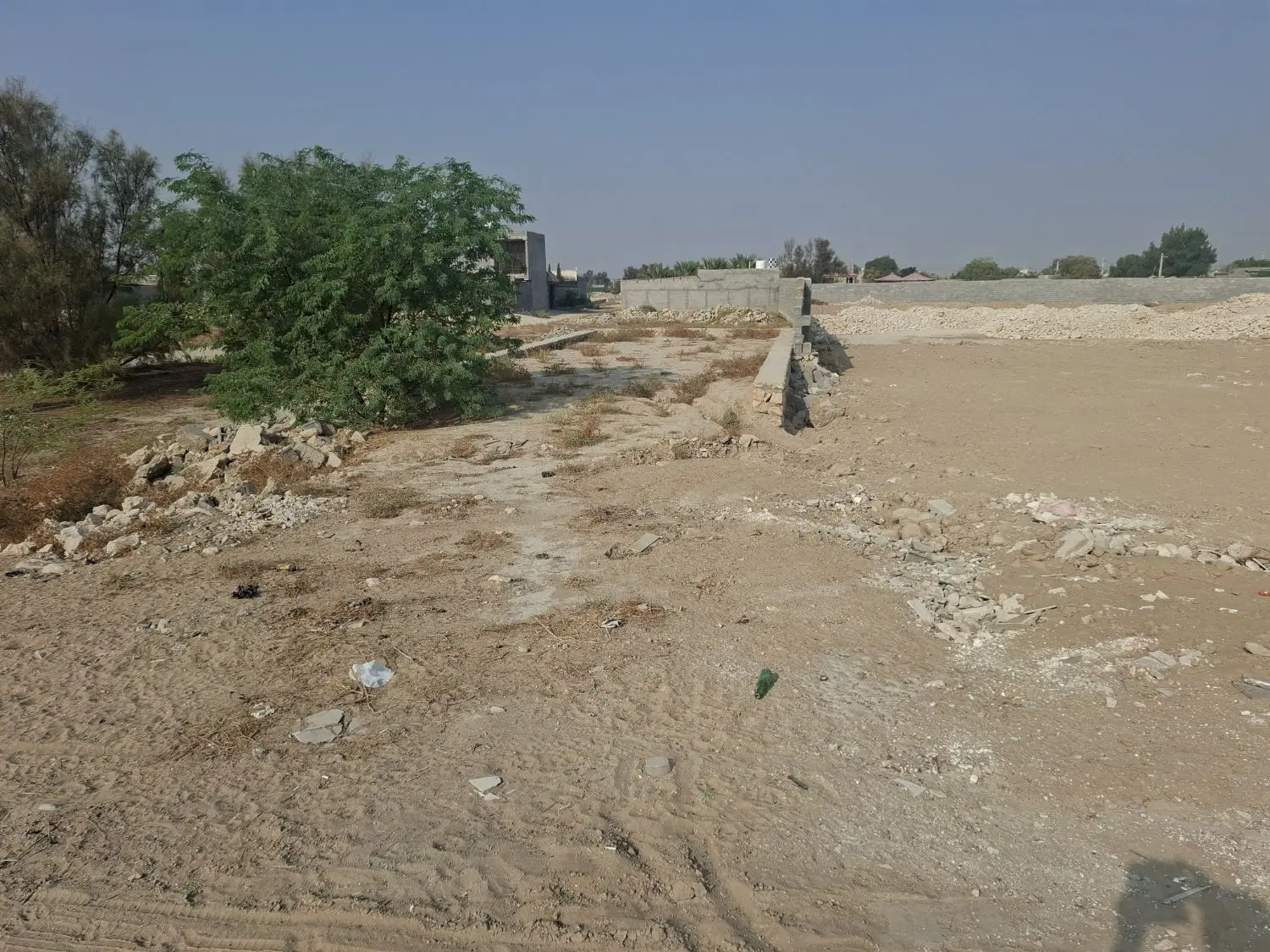 زمین