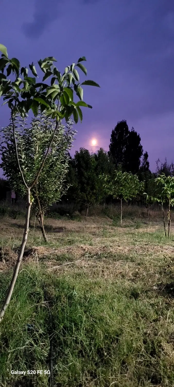 باغ جاده تبریز