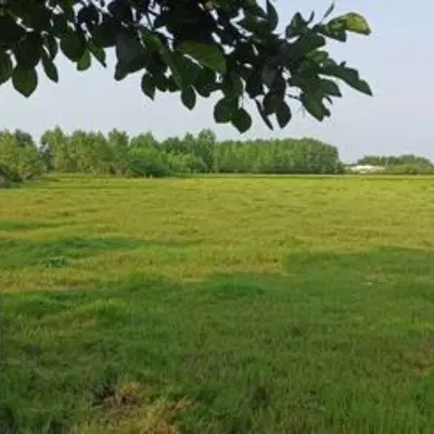 باغ ۳ هکتاری پیربازار رشت مجوز ساخت از ۲۰۰۰ متر