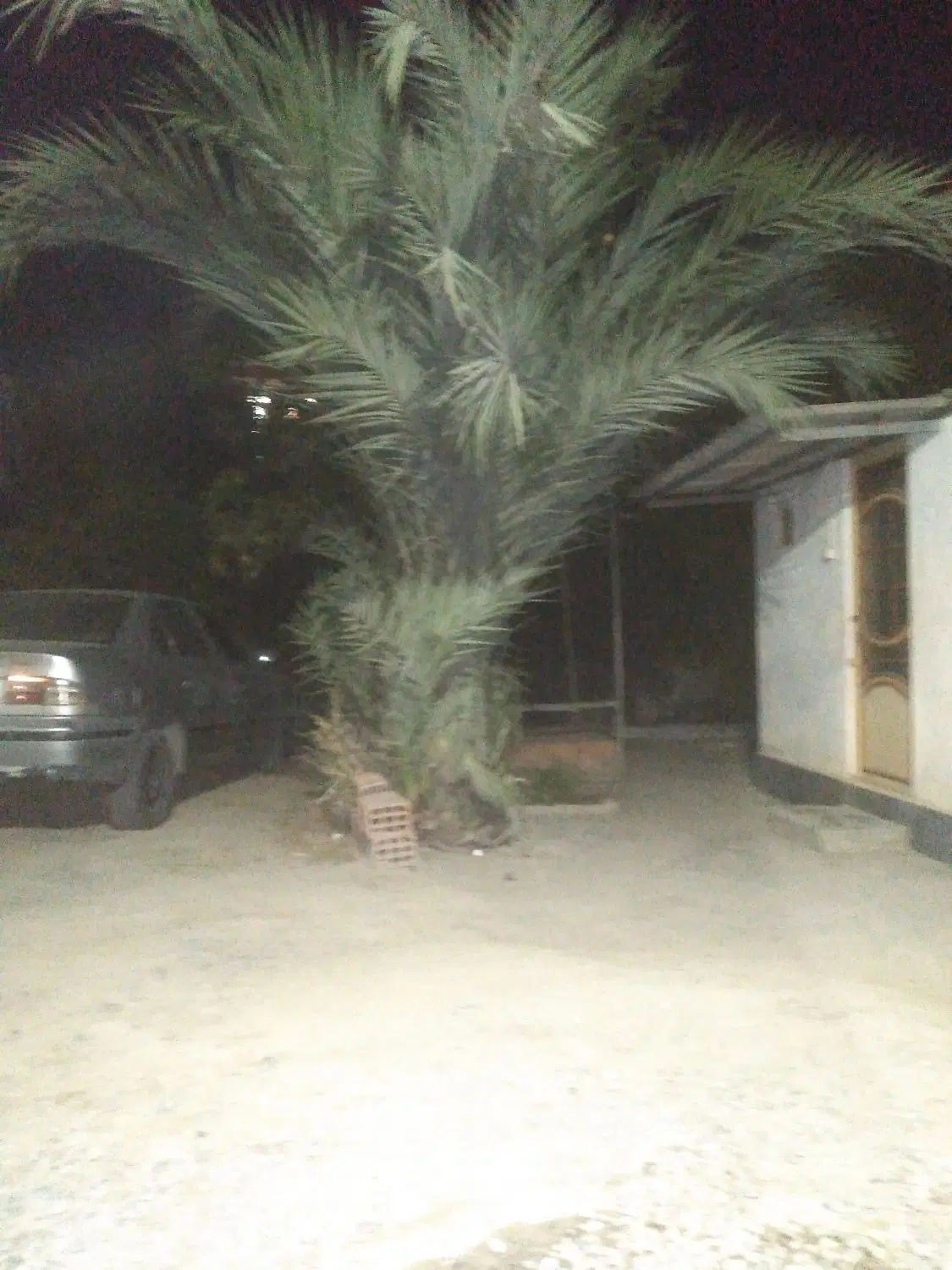 زمین