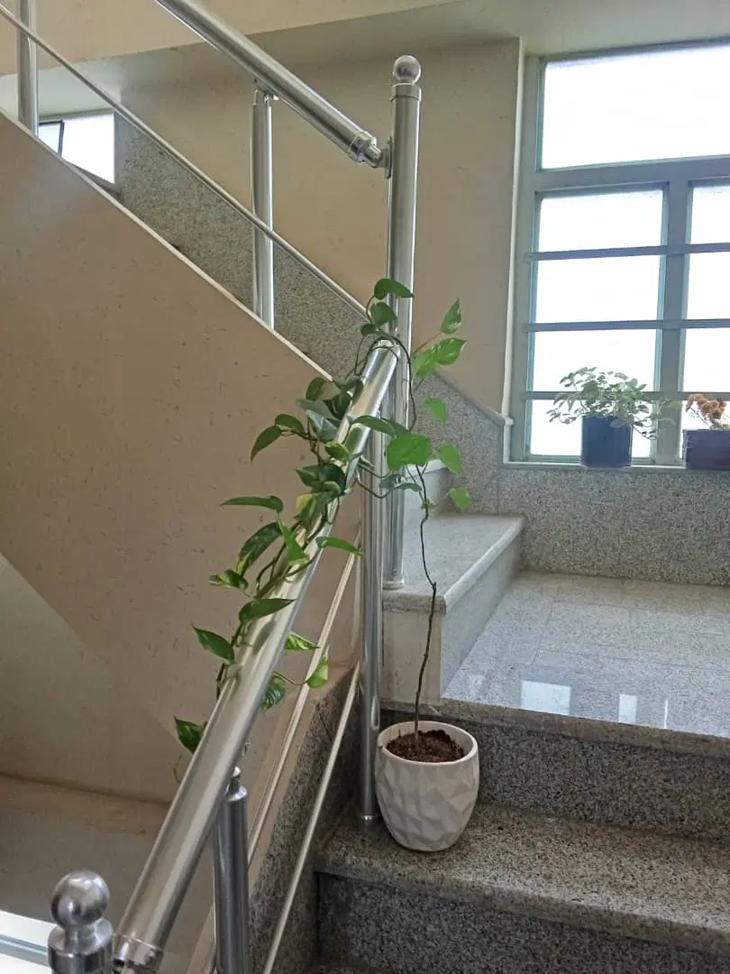 آپارتمان دوخوابه کاملا جنوبی کوچه بیست وسه فلاحی