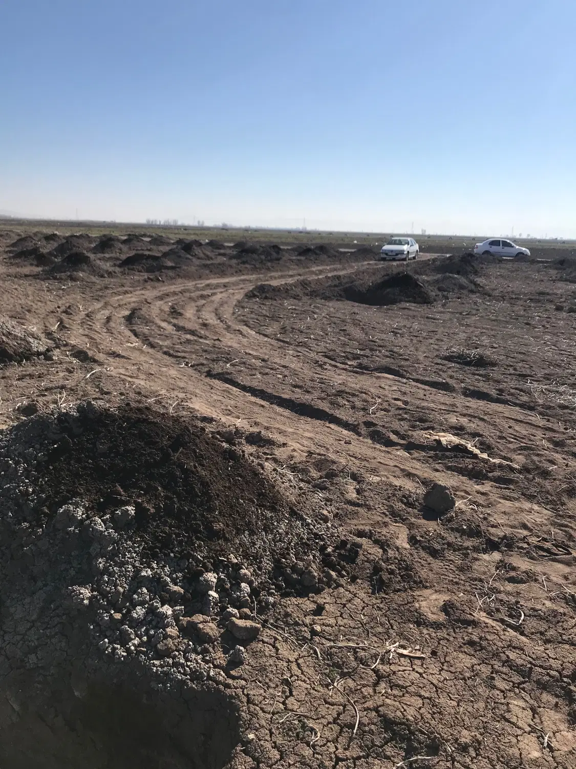 زمین باغی ۳۵۳۰ متر بابر۶۰ روستای سلطان اباد