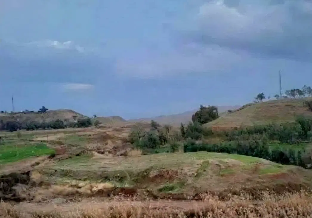 زمین زراعی واقع در شهر قصرشیرین