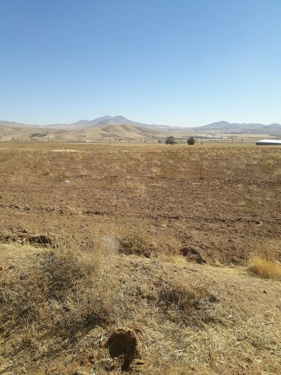 فروش،زمین کشاورزی