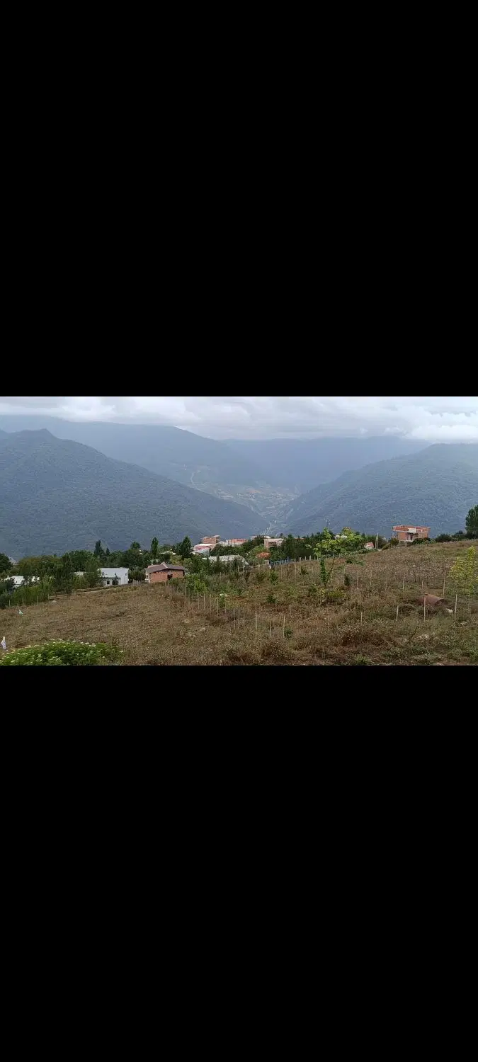 زمین تجاری