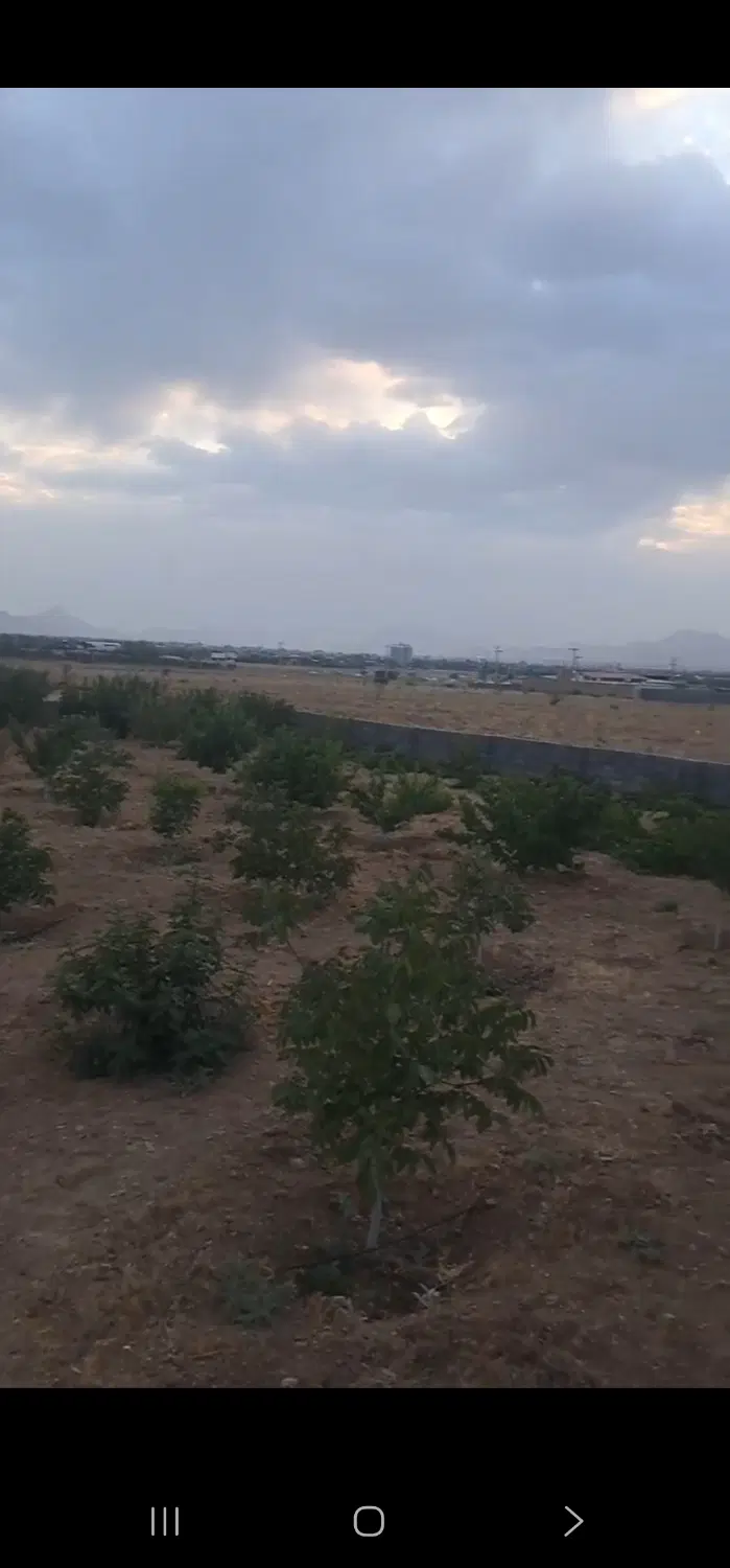 باغ و باغچه زمین