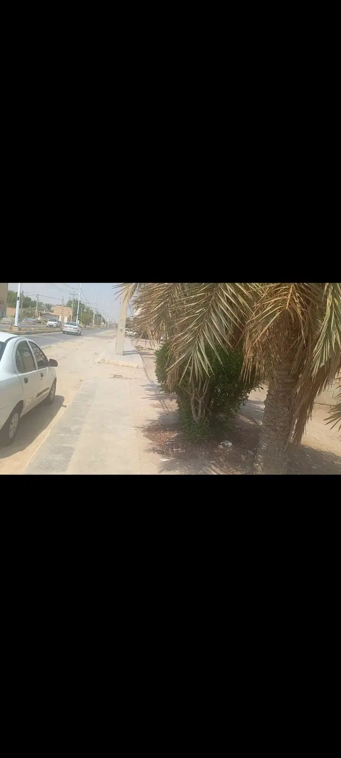 زمین در جزیره مینو  سند تک برگ